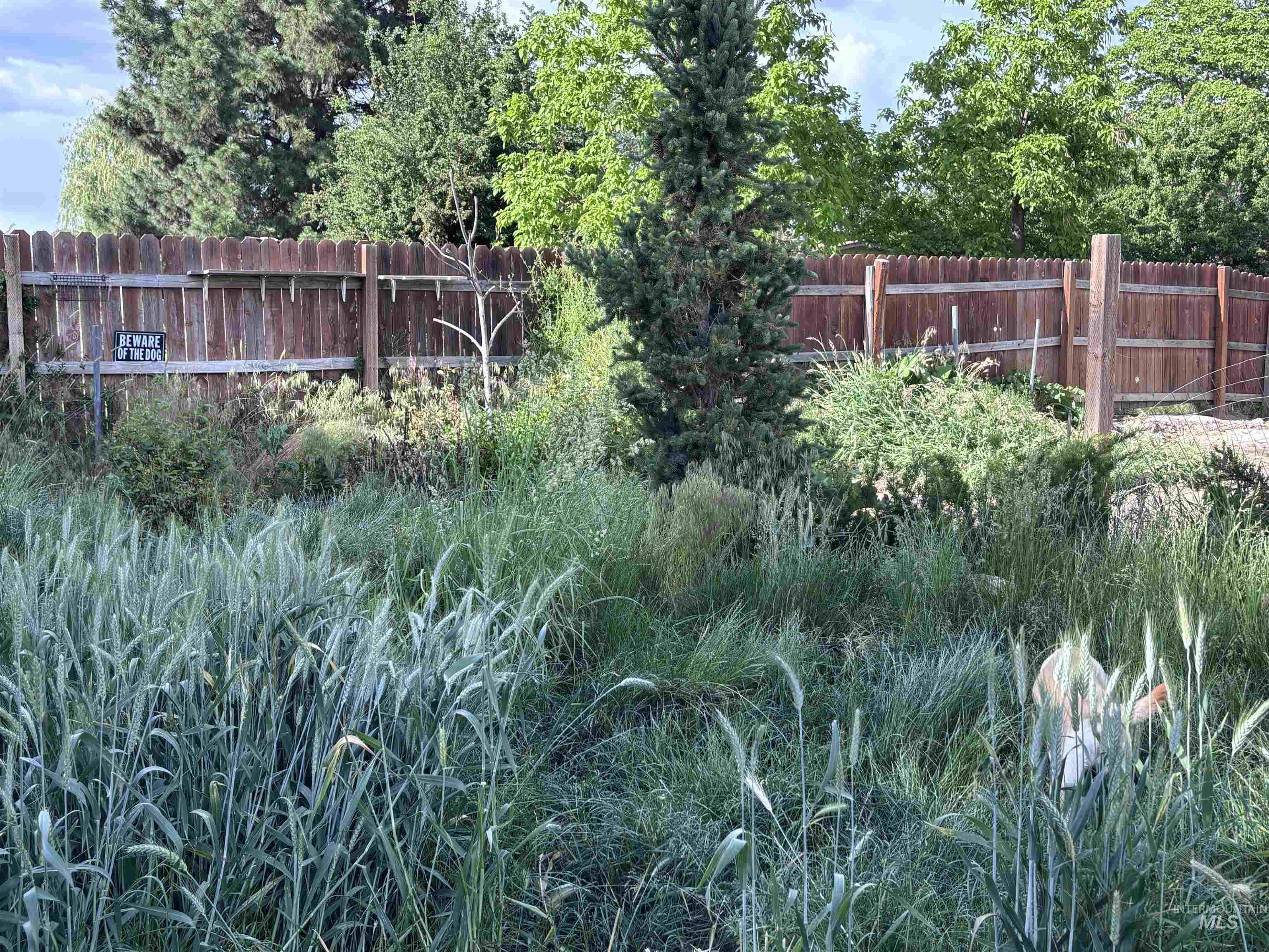 2152 Artesian Rd, Eagle, Idaho 83616, 3 Bedrooms, 2 Bathrooms, Residential For Sale, Price $499,990, 98988027