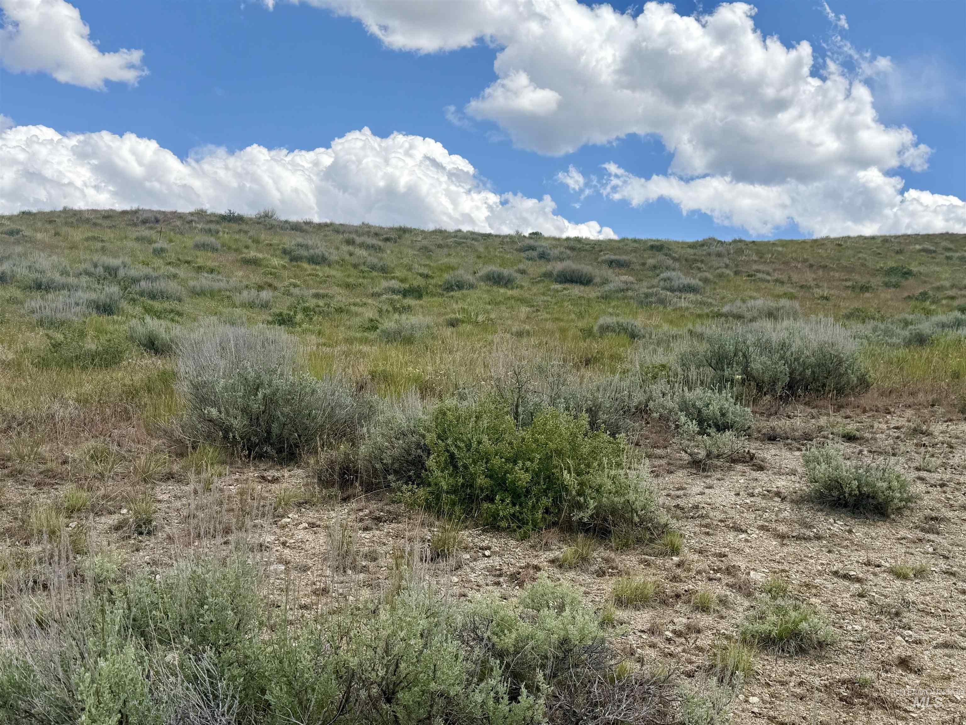 TBD Lot 12 Fairway Estates, Fairfield, Idaho 83327, Land For Sale, Price $35,000,MLS 98988101