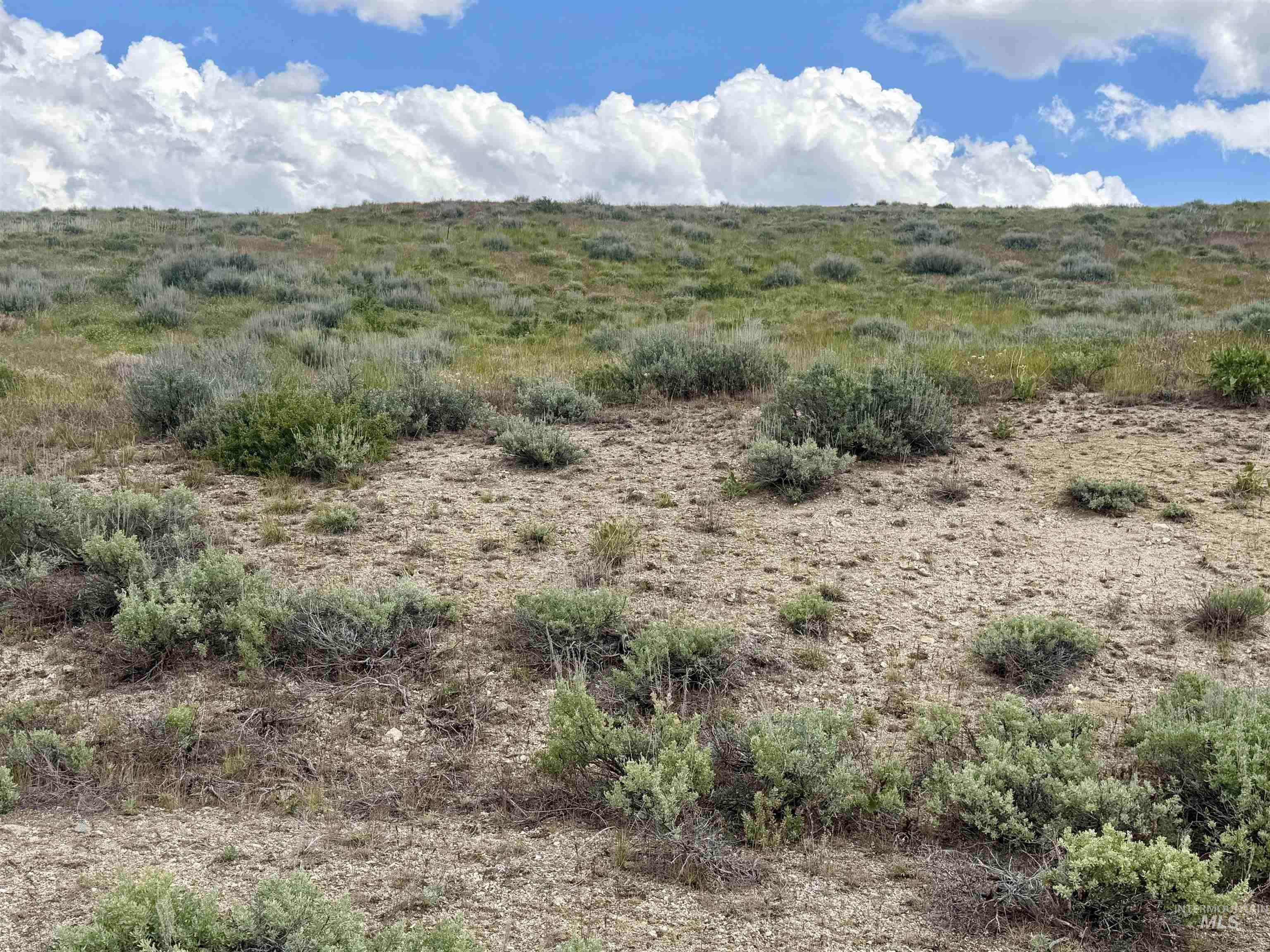 TBD Lot 12 Fairway Estates, Fairfield, Idaho 83327, Land For Sale, Price $35,000,MLS 98988101