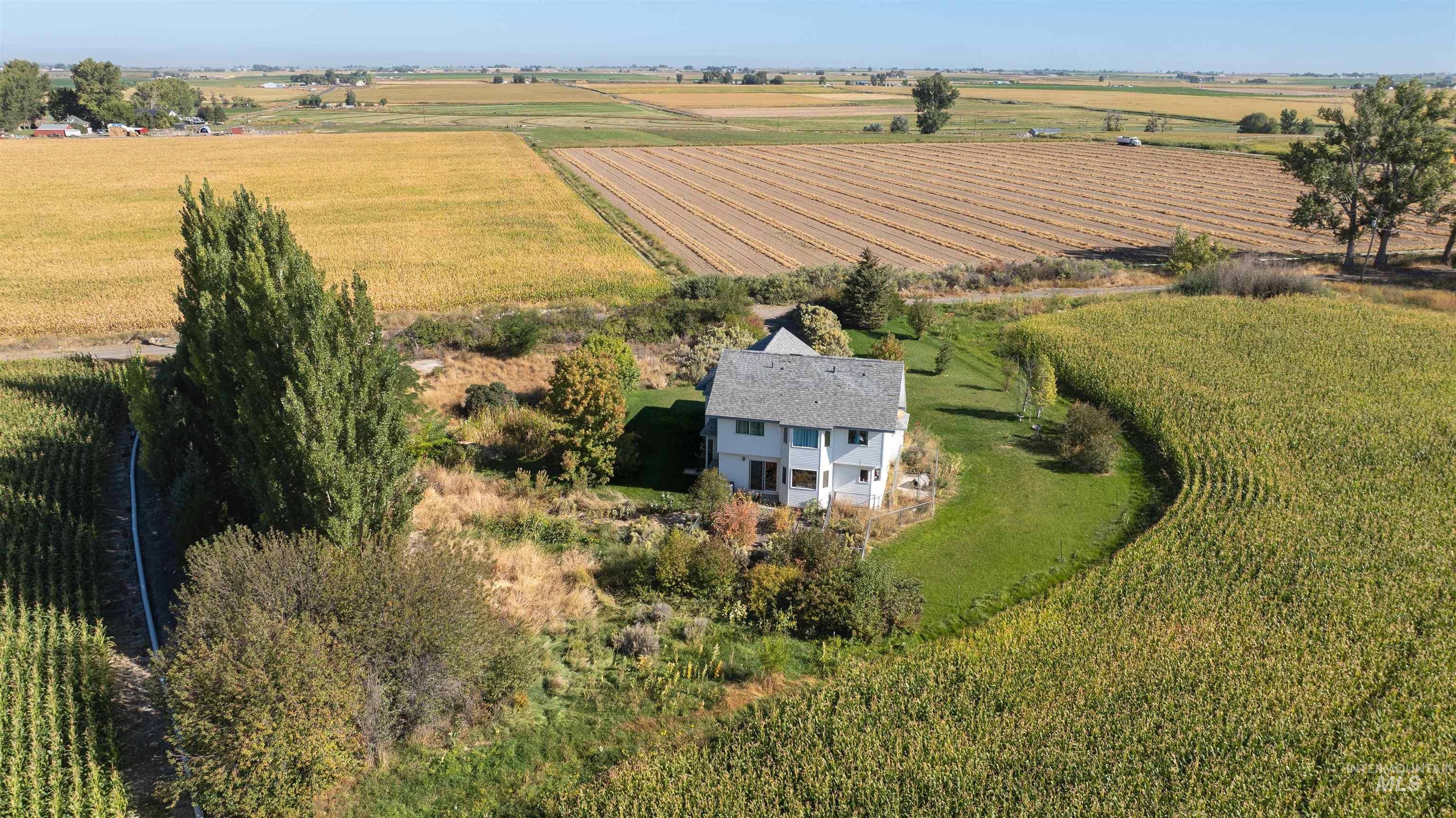 3374 N 1200 E, Buhl, Idaho 83316, 5 Bedrooms, 2 Bathrooms, Residential For Sale, Price $479,000,MLS 98988124