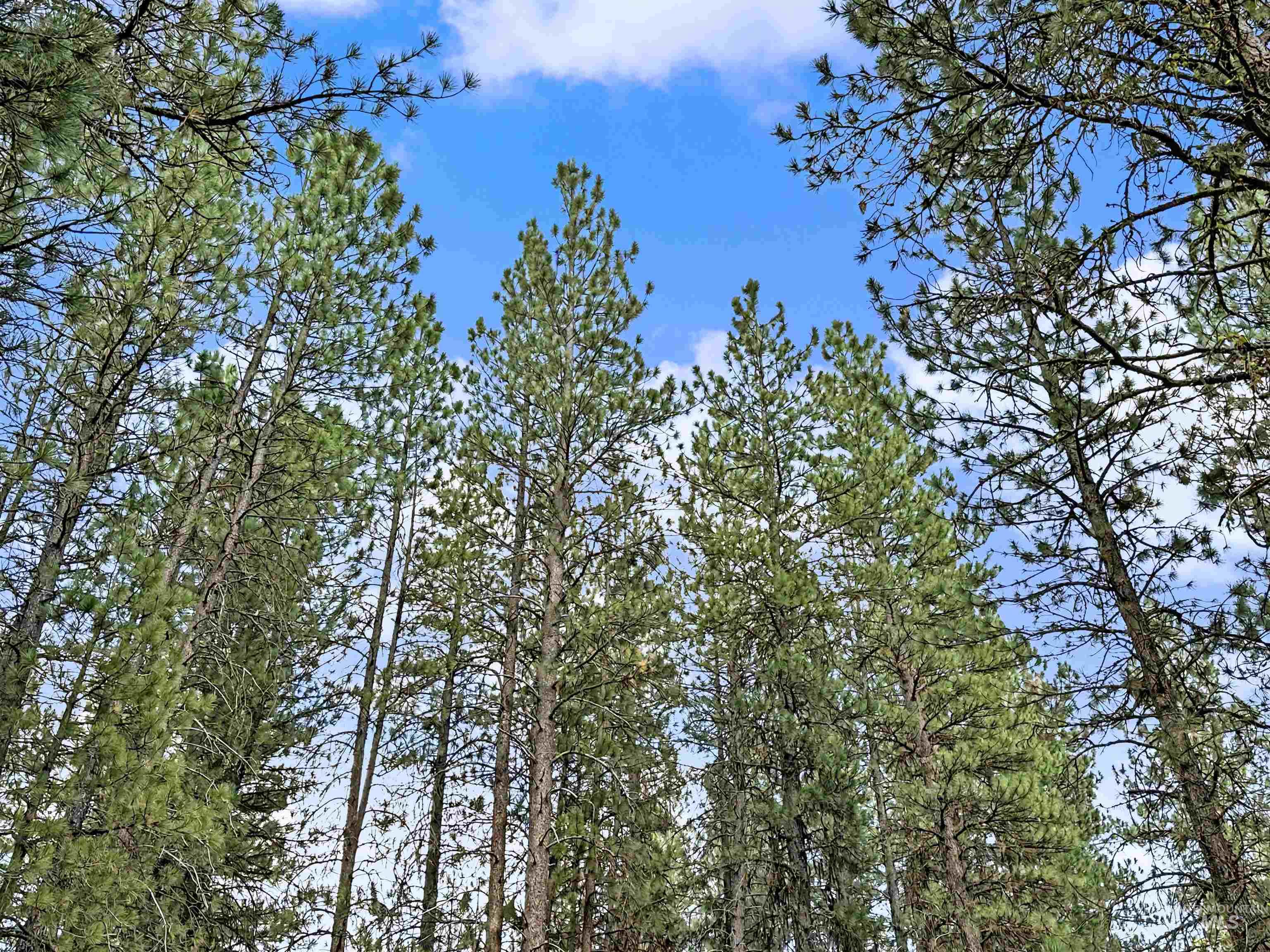 5 Fairchild Way, Idaho City, Idaho 83631, Land For Sale, Price $149,900, 98988137
