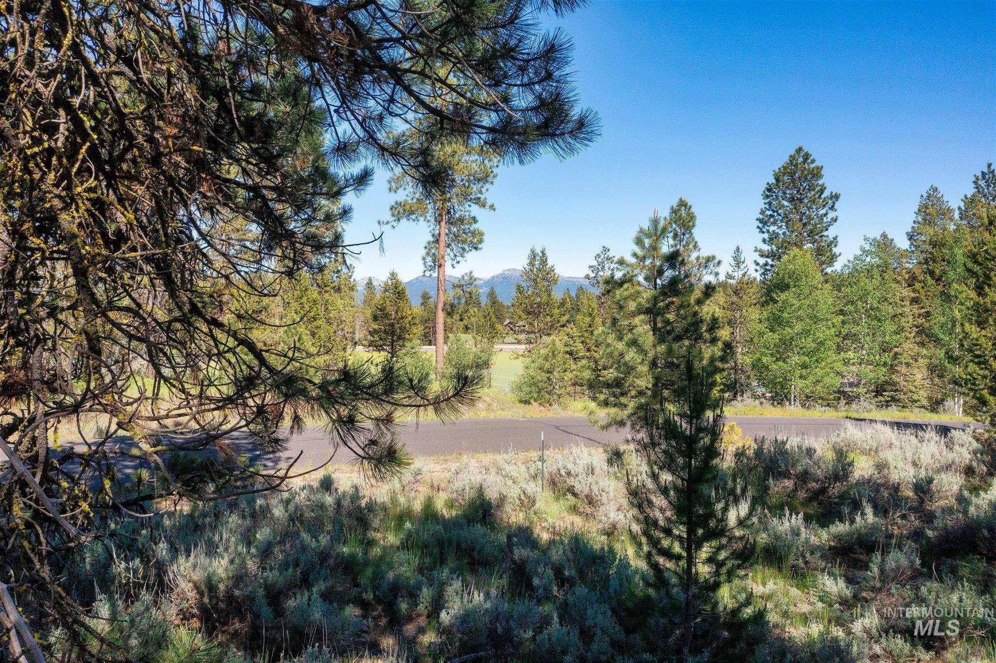 110 Fawnlilly, McCall, Idaho 83638, Land For Sale, Price $155,000,MLS 98988155