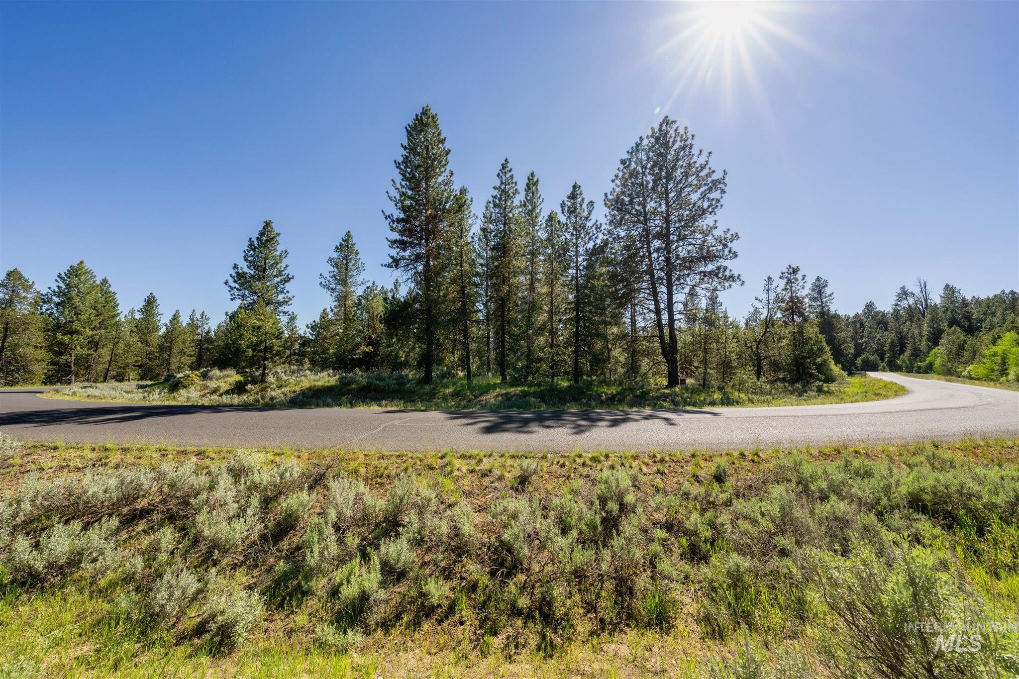 110 Fawnlilly, McCall, Idaho 83638, Land For Sale, Price $155,000,MLS 98988155