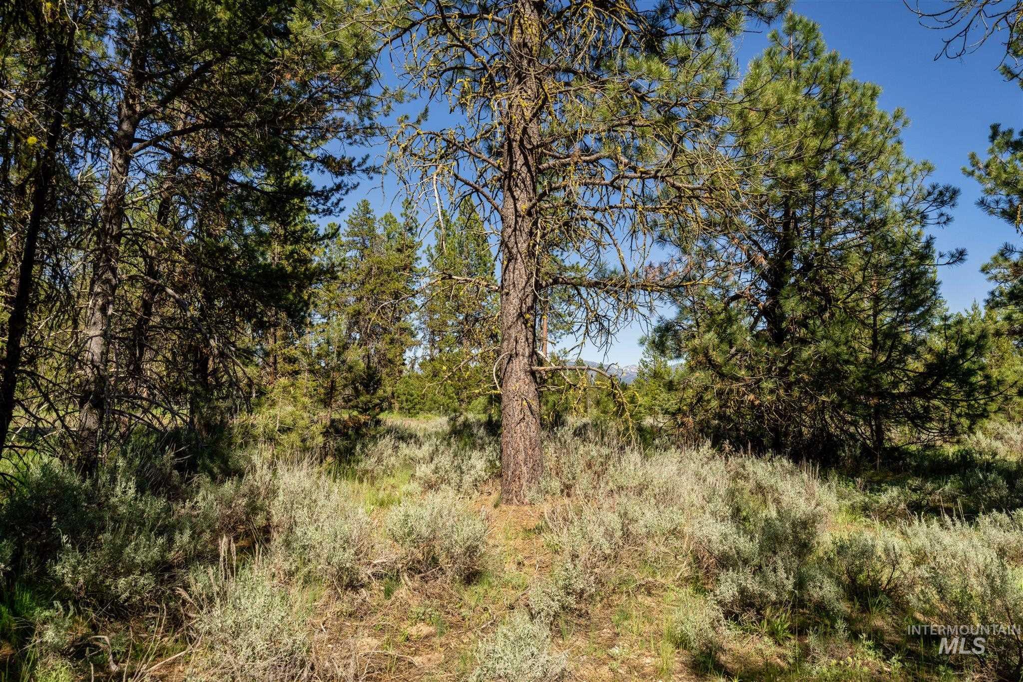 110 Fawnlilly, McCall, Idaho 83638, Land For Sale, Price $155,000,MLS 98988155