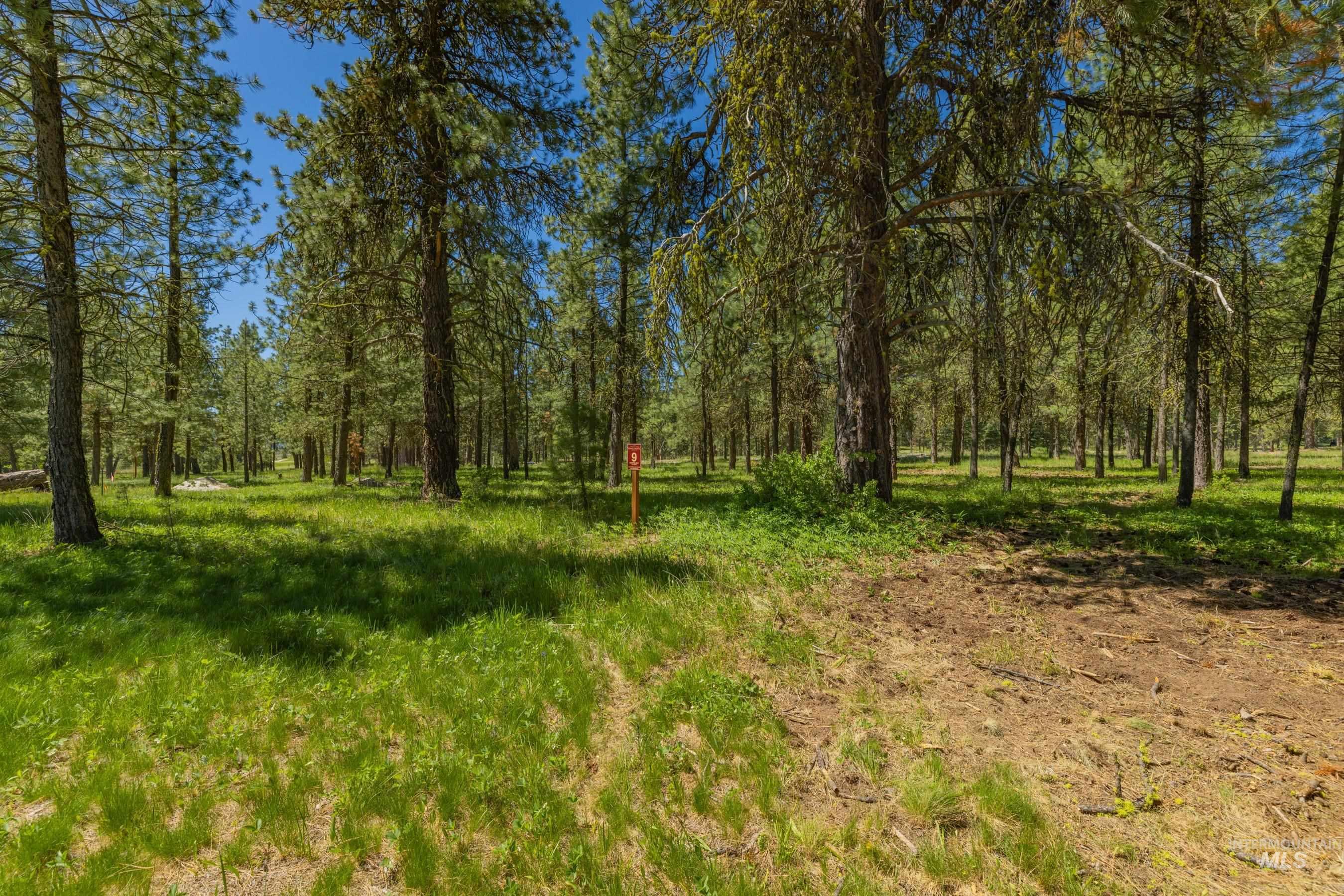 206 Spataro Drive, Donnelly, Idaho 83615, Land For Sale, Price $795,000,MLS 98988183