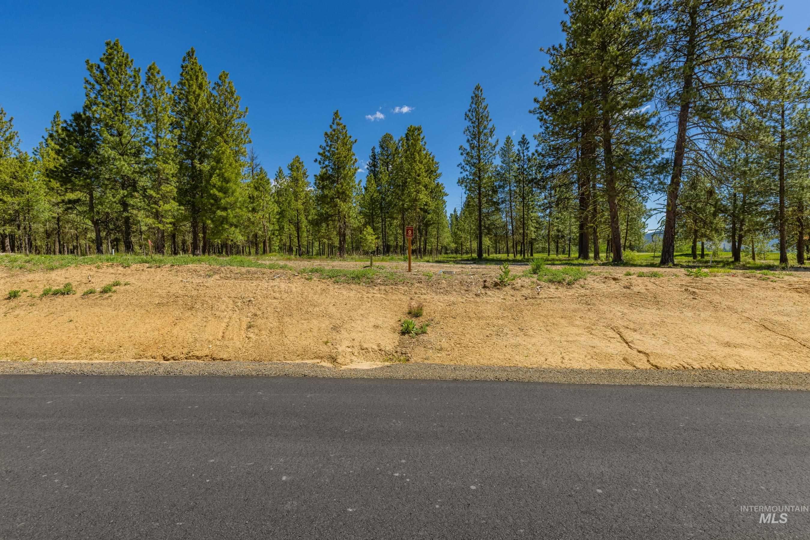 206 Spataro Drive, Donnelly, Idaho 83615, Land For Sale, Price $795,000,MLS 98988183