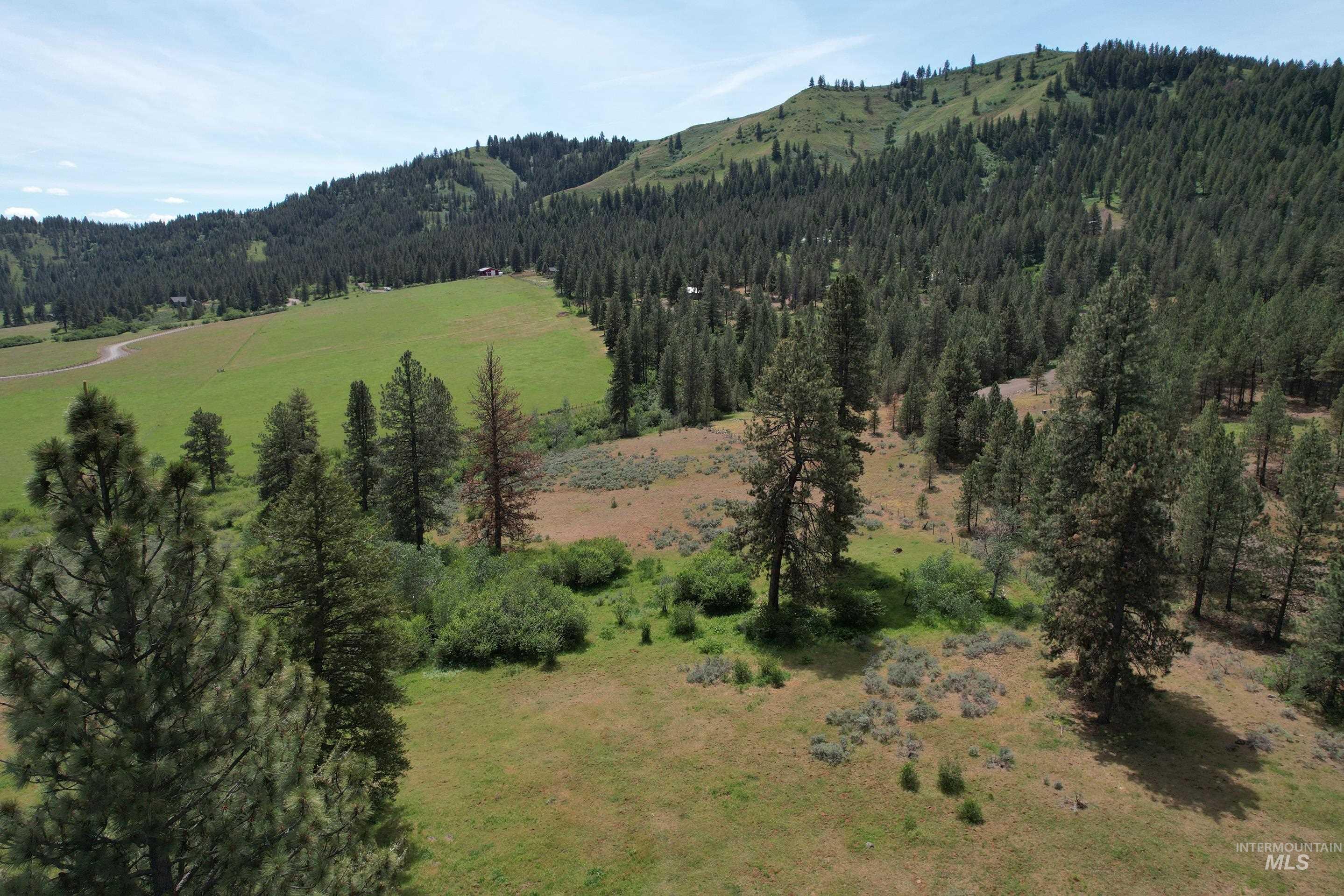 Lot 1 Elk Crossing, Council, Idaho 83612, Land For Sale, Price $250,000,MLS 98988194