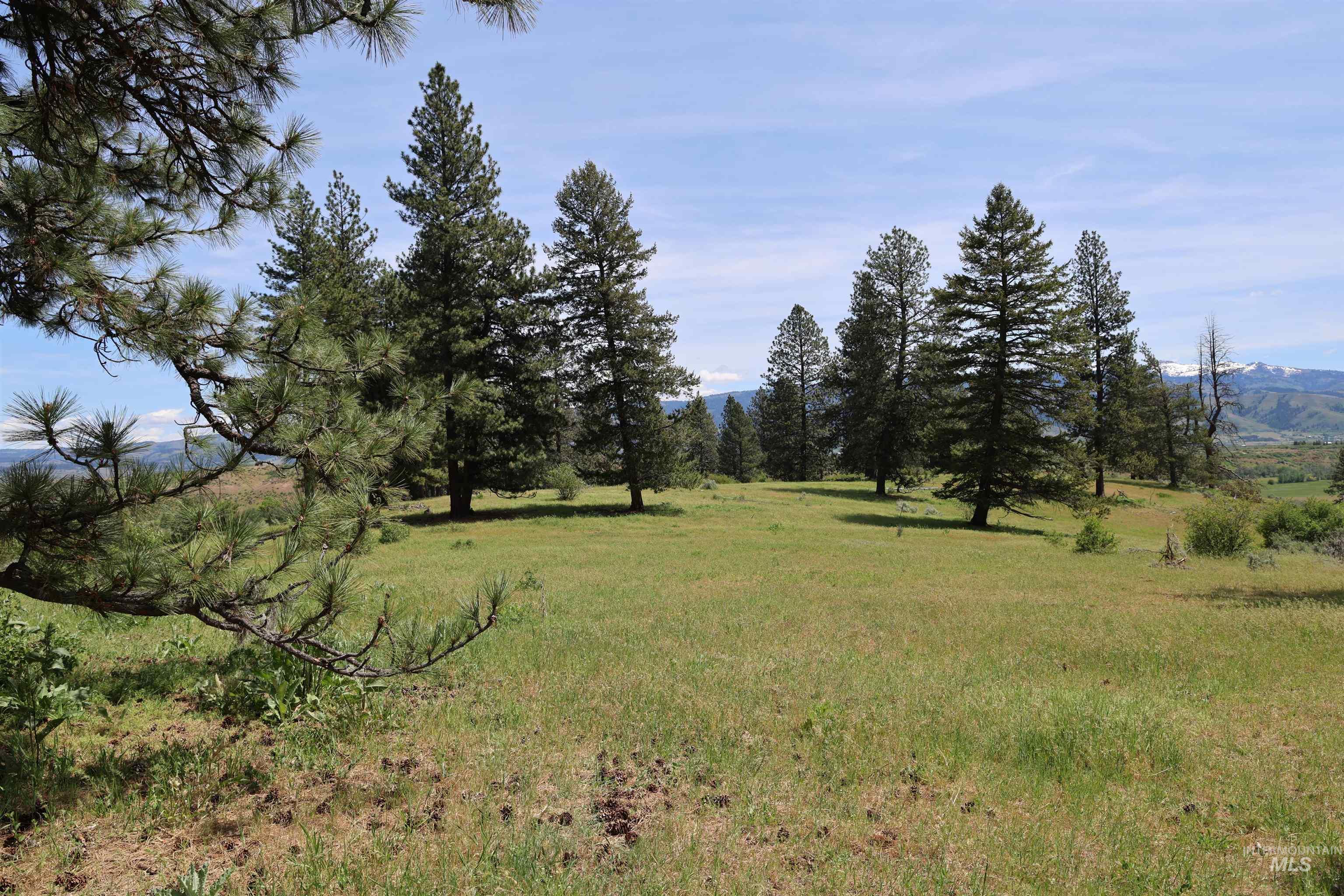 Lot 1 Elk Crossing, Council, Idaho 83612, Land For Sale, Price $250,000,MLS 98988194