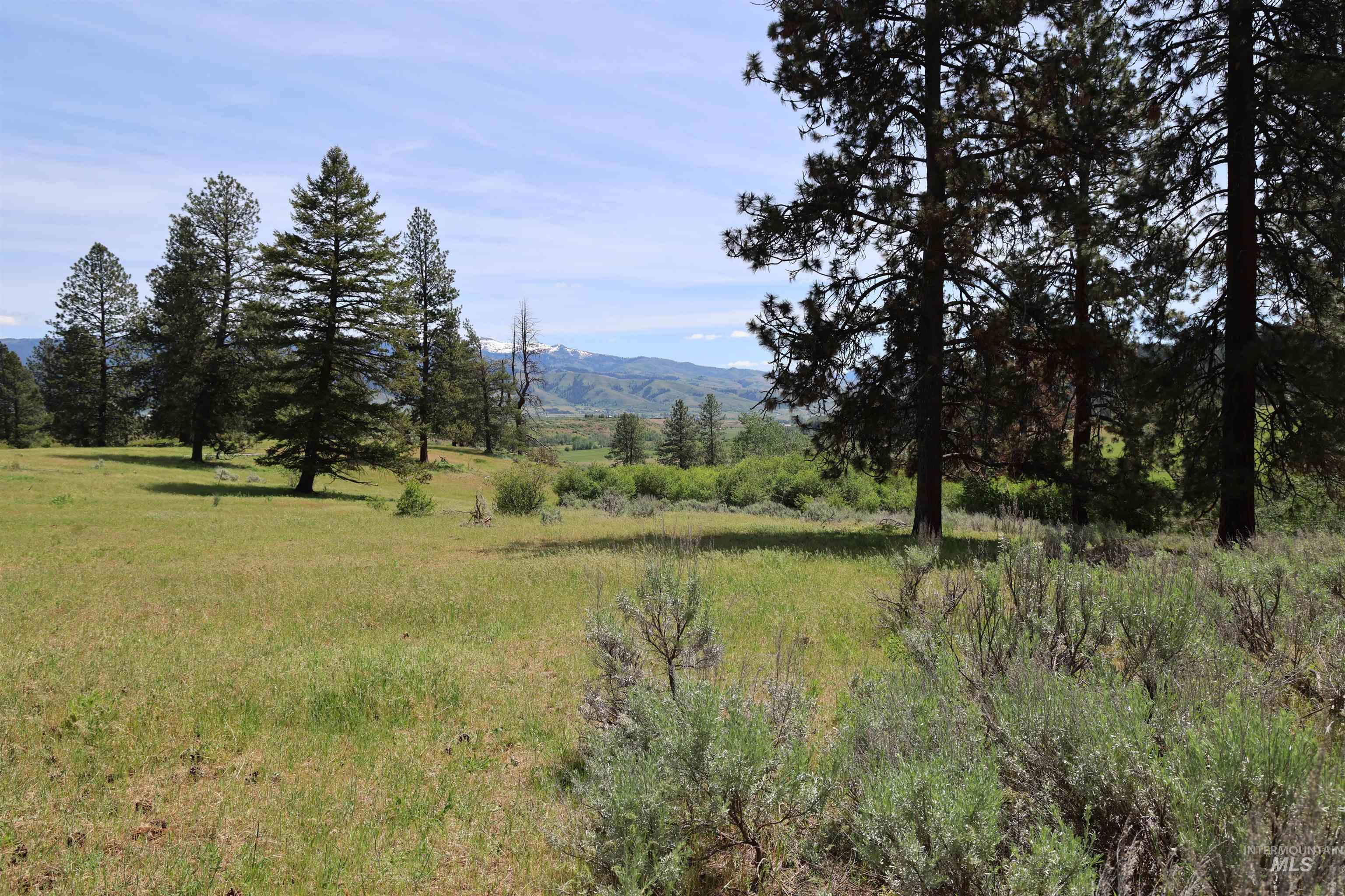 Lot 1 Elk Crossing, Council, Idaho 83612, Land For Sale, Price $250,000,MLS 98988194