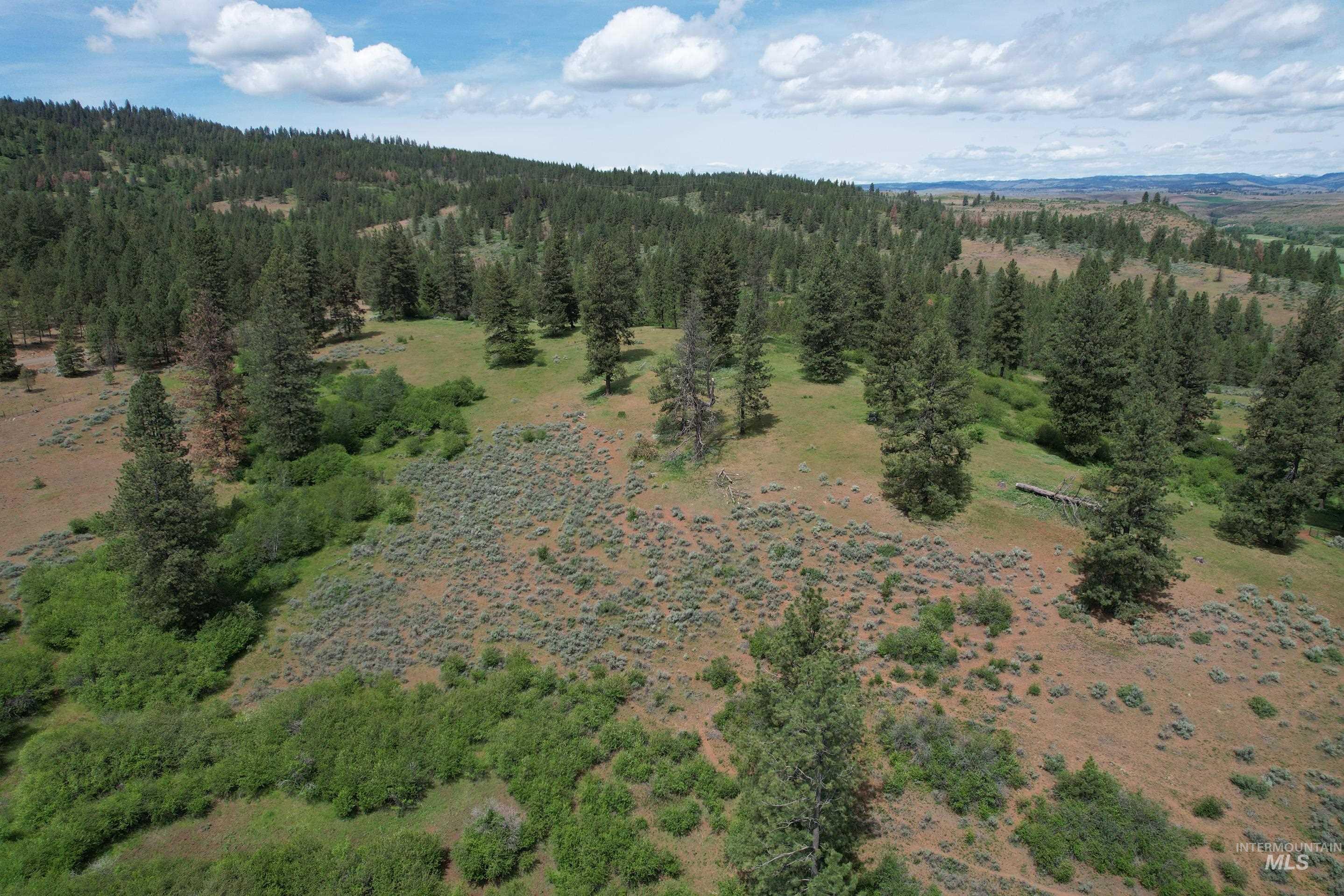 Lot 1 Elk Crossing, Council, Idaho 83612, Land For Sale, Price $250,000,MLS 98988194