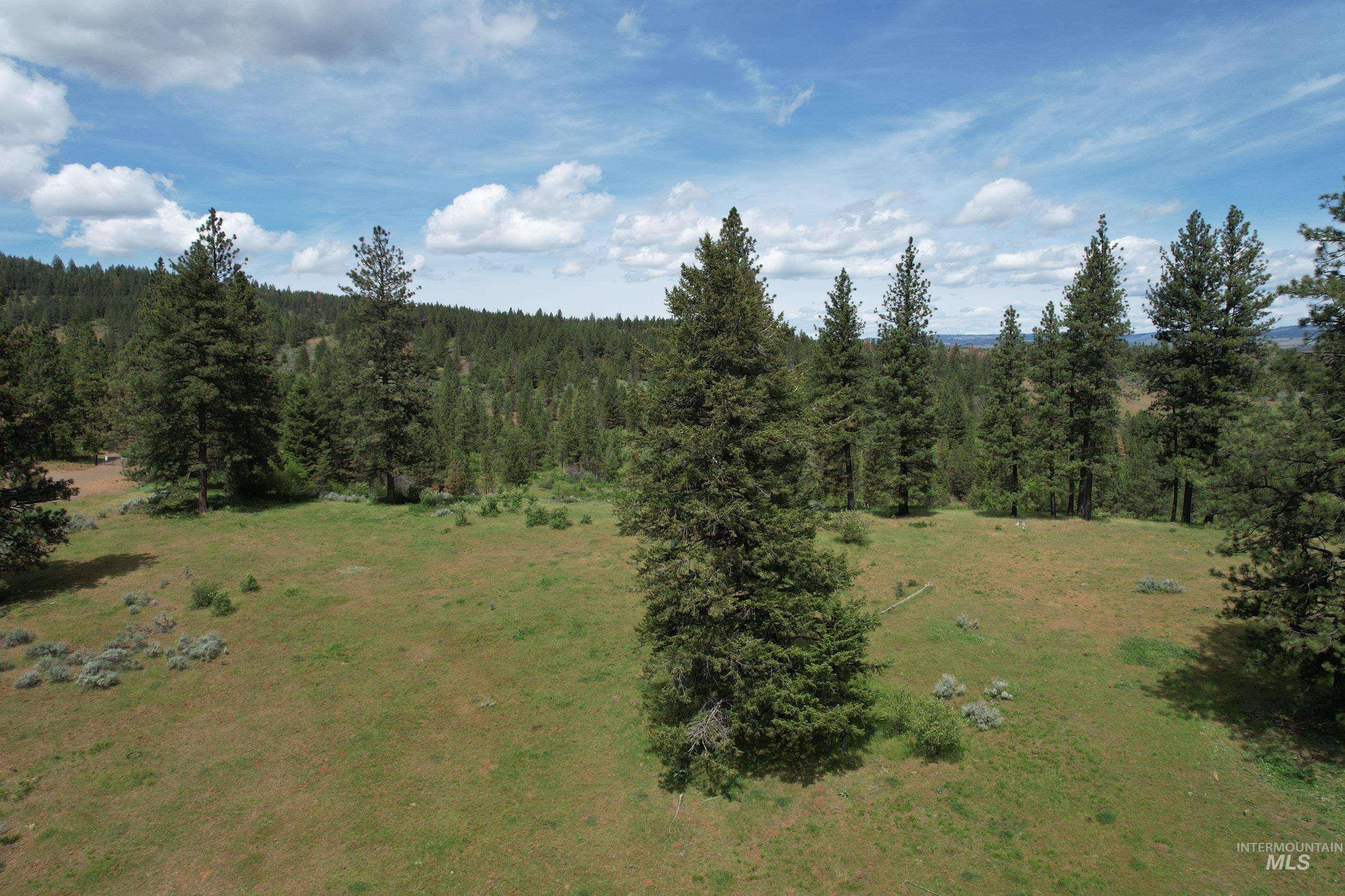 Lot 1 Elk Crossing, Council, Idaho 83612, Land For Sale, Price $250,000,MLS 98988194