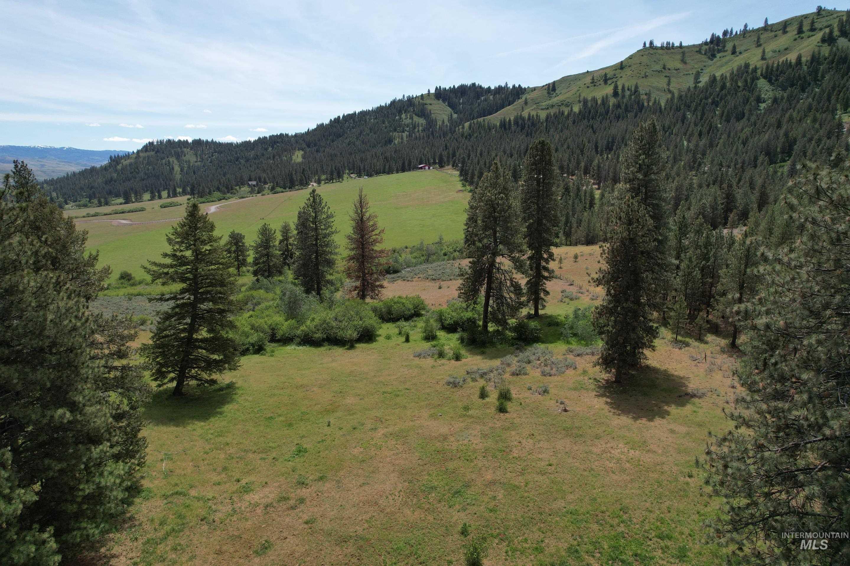 Lot 1 Elk Crossing, Council, Idaho 83612, Land For Sale, Price $250,000,MLS 98988194