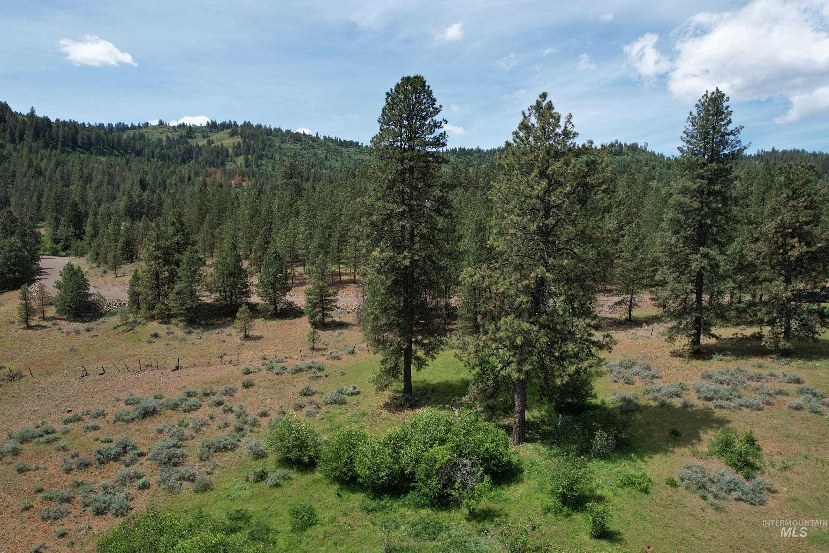 Lot 1 Elk Crossing, Council, Idaho 83612, Land For Sale, Price $250,000,MLS 98988194
