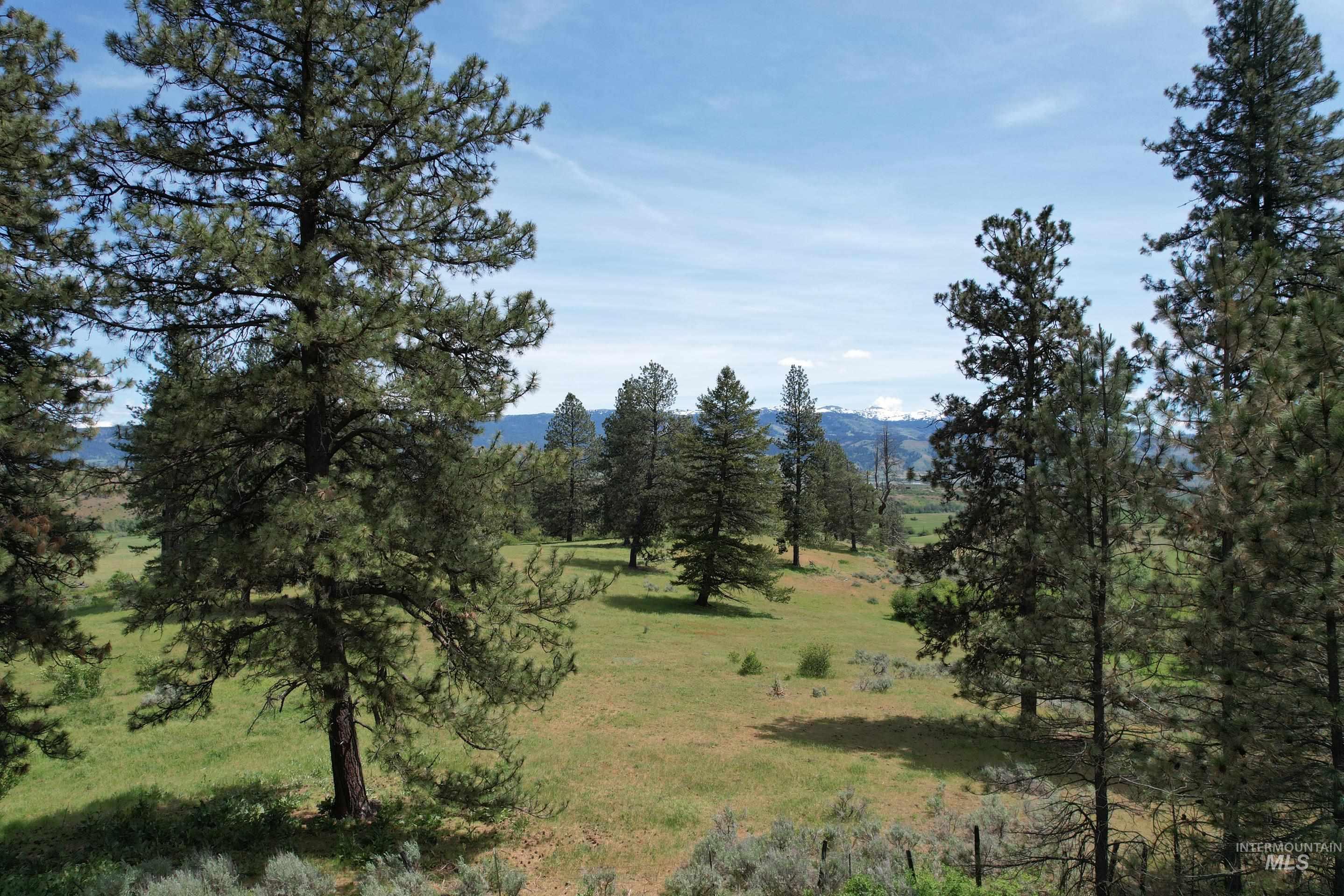 Lot 1 Elk Crossing, Council, Idaho 83612, Land For Sale, Price $250,000,MLS 98988194