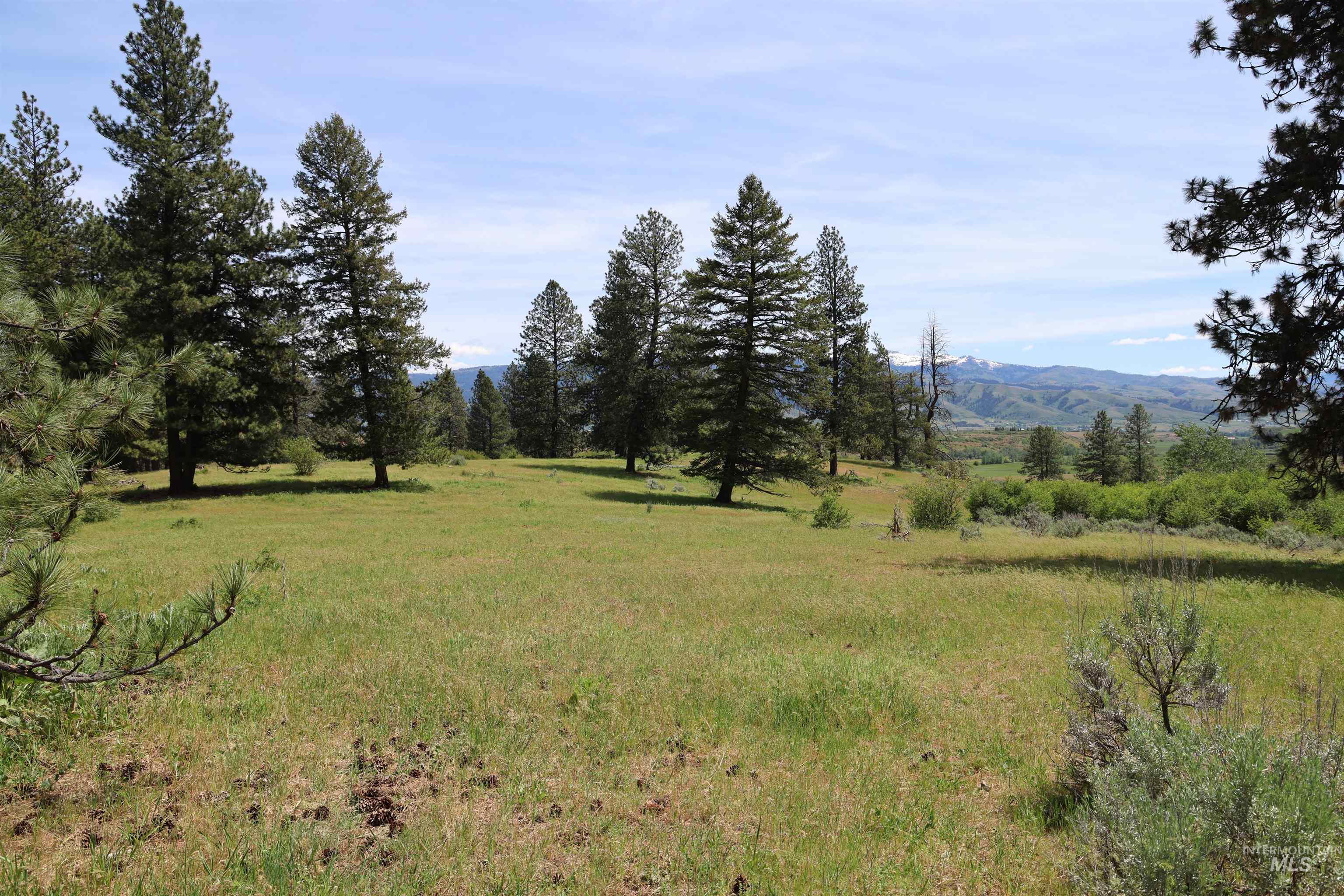 Lot 1 Elk Crossing, Council, Idaho 83612, Land For Sale, Price $250,000,MLS 98988194