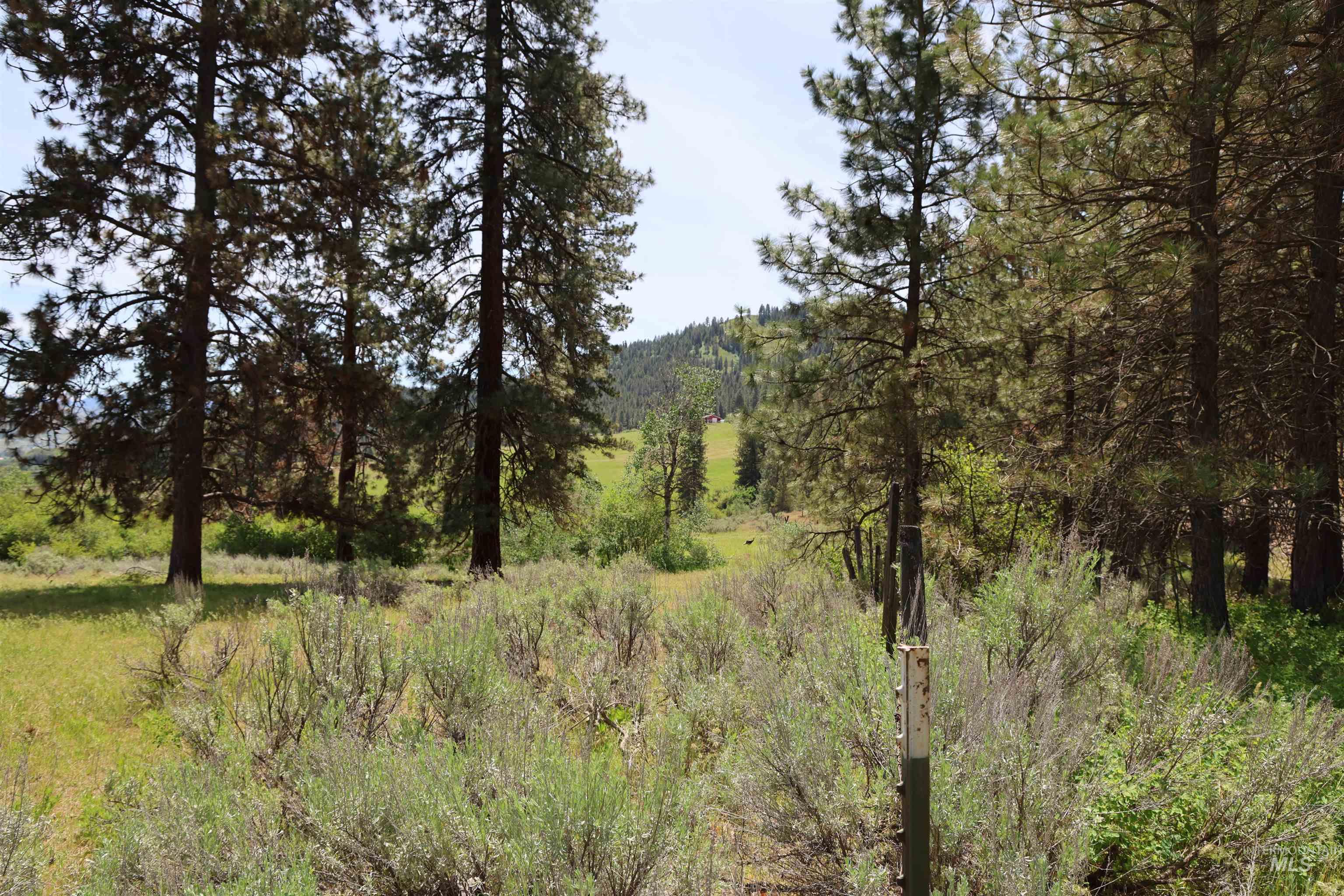 Lot 1 Elk Crossing, Council, Idaho 83612, Land For Sale, Price $250,000,MLS 98988194