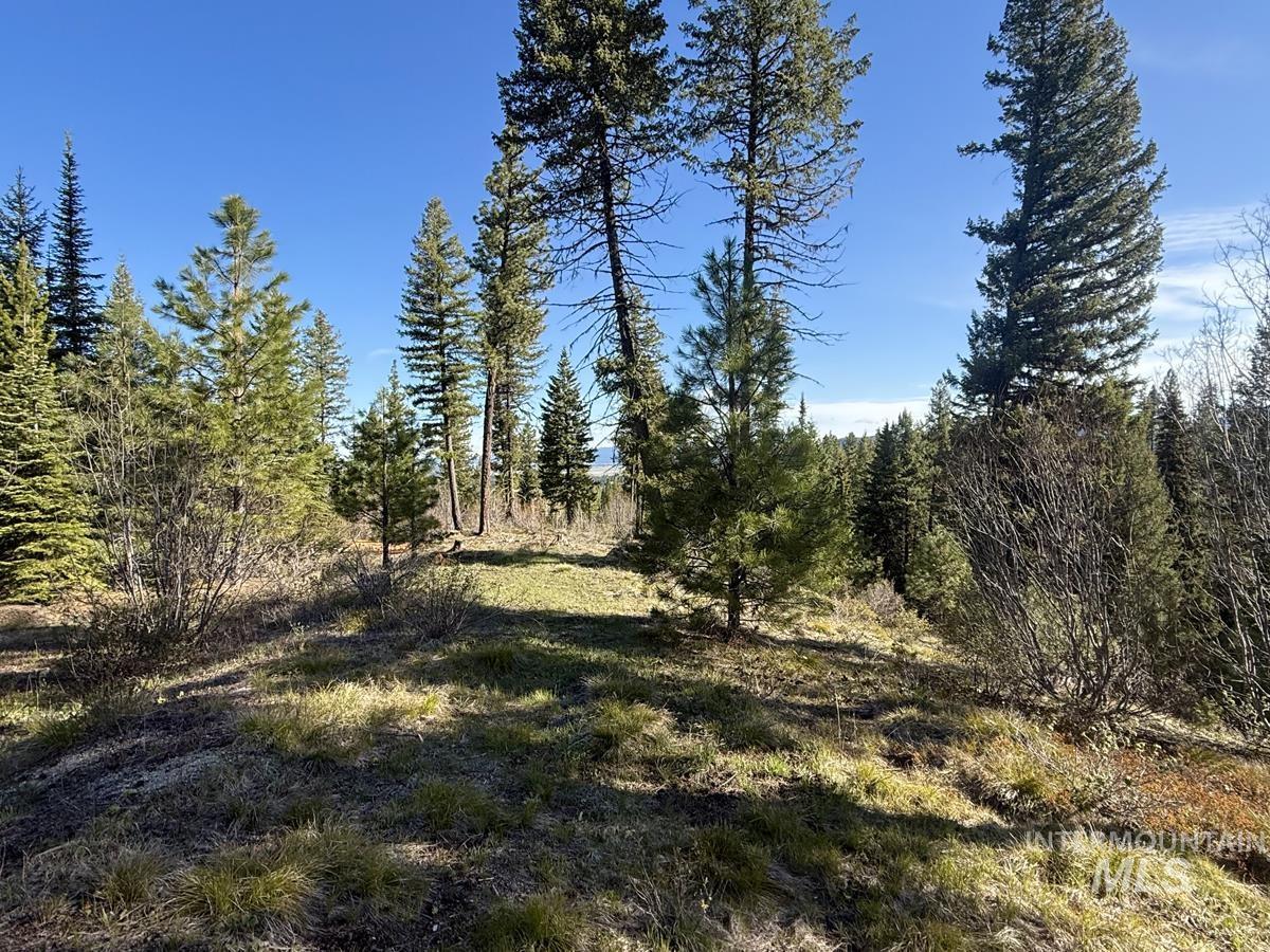 Lot 5 Urban Lane, Cascade, Idaho 83611, Land For Sale, Price $275,000, 98988237