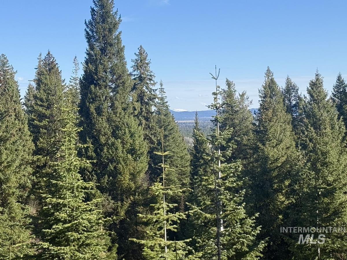 Lot 5 Urban Lane, Cascade, Idaho 83611, Land For Sale, Price $275,000, 98988237
