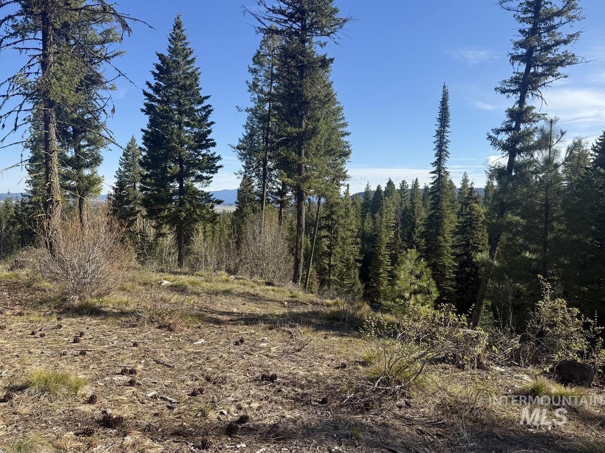 Lot 5 Urban Lane, Cascade, Idaho 83611, Land For Sale, Price $275,000, 98988237