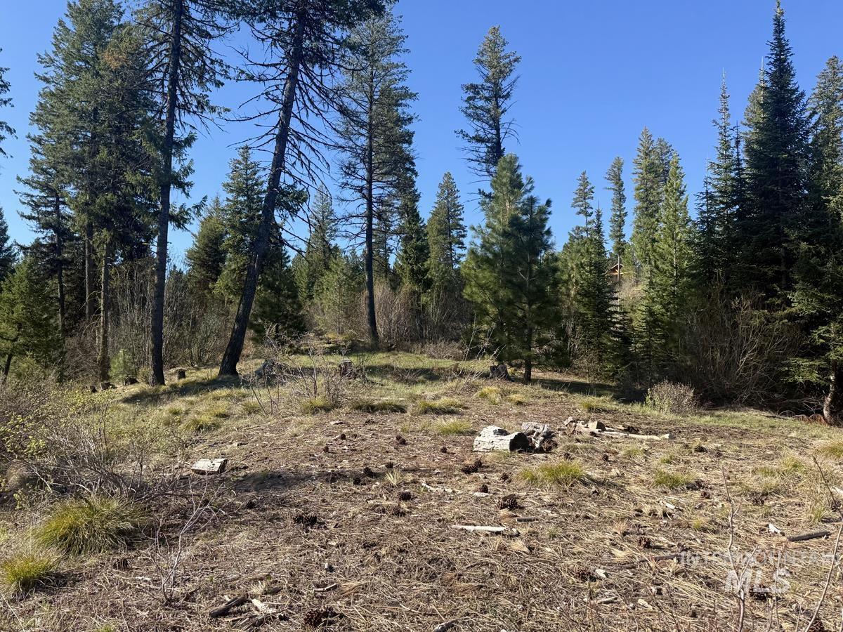 Lot 5 Urban Lane, Cascade, Idaho 83611, Land For Sale, Price $275,000, 98988237
