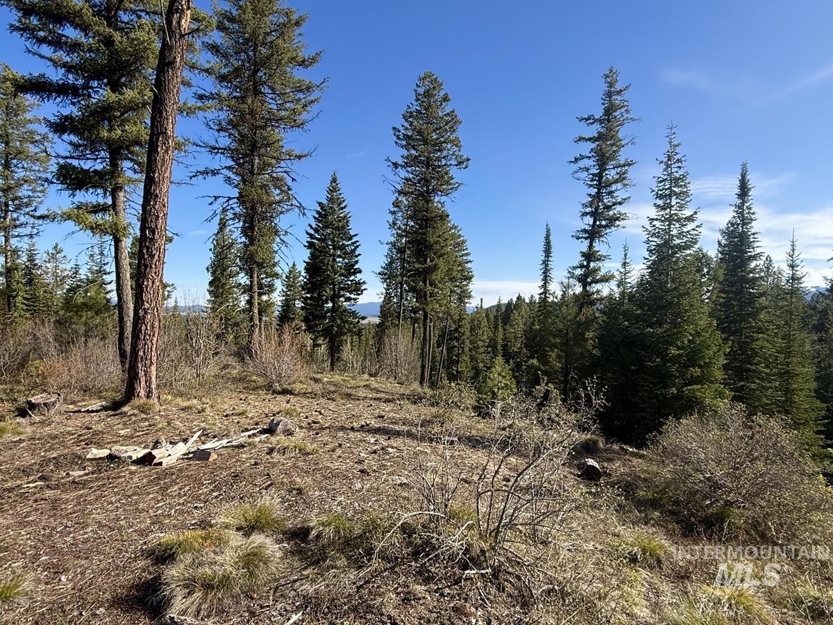 Lot 5 Urban Lane, Cascade, Idaho 83611, Land For Sale, Price $275,000, 98988237