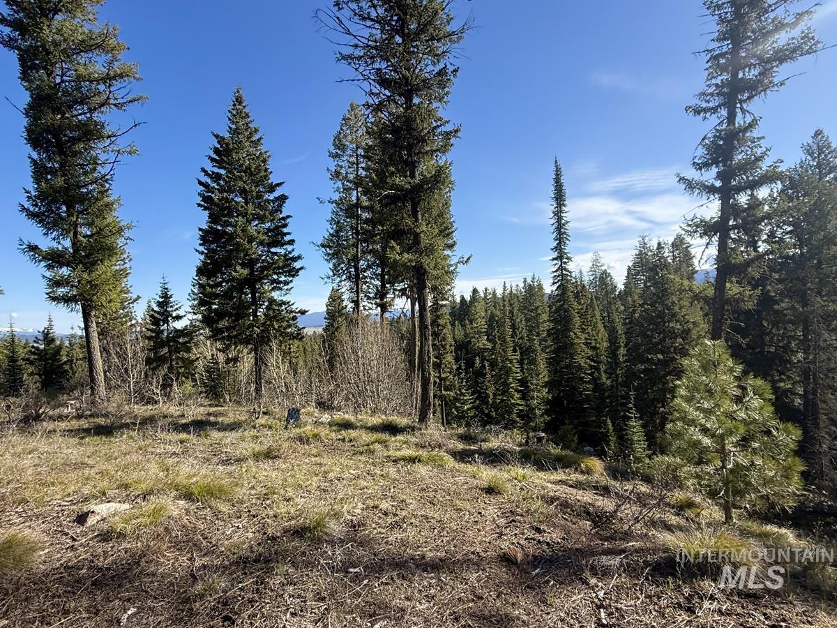 Lot 5 Urban Lane, Cascade, Idaho 83611, Land For Sale, Price $275,000, 98988237