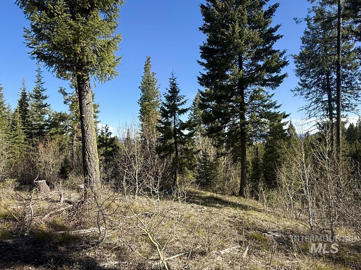 Lot 5 Urban Lane, Cascade, Idaho 83611, Land For Sale, Price $275,000, 98988237