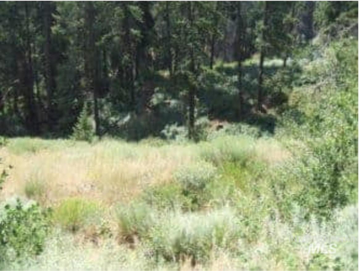 0 TBD, Boise, Idaho 83716, Land For Sale, Price $117,500,MLS 98988278