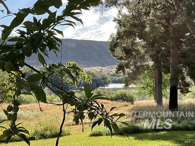 4778 River Road, Buhl, Idaho 83316, 2 Bedrooms, 1 Bathroom, Residential For Sale, Price $1,200,000,MLS 98988360