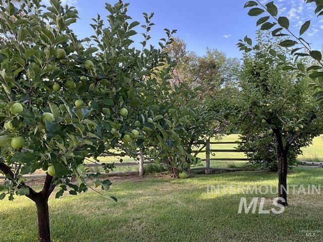 4778 River Road, Buhl, Idaho 83316, 2 Bedrooms, 1 Bathroom, Residential For Sale, Price $1,200,000,MLS 98988360