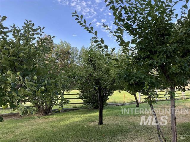 4778 River Road, Buhl, Idaho 83316, 2 Bedrooms, 1 Bathroom, Residential For Sale, Price $1,200,000,MLS 98988360