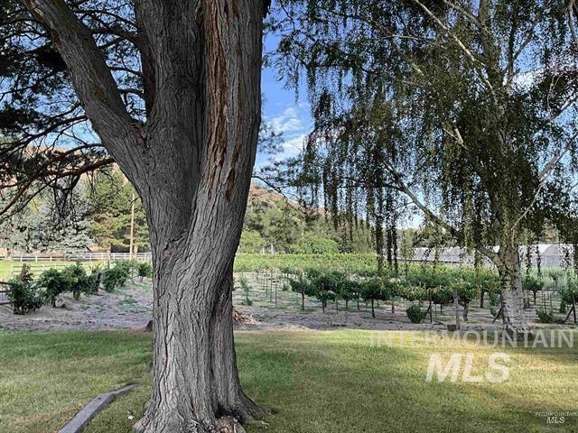 4778 River Road, Buhl, Idaho 83316, 2 Bedrooms, 1 Bathroom, Residential For Sale, Price $1,200,000,MLS 98988360