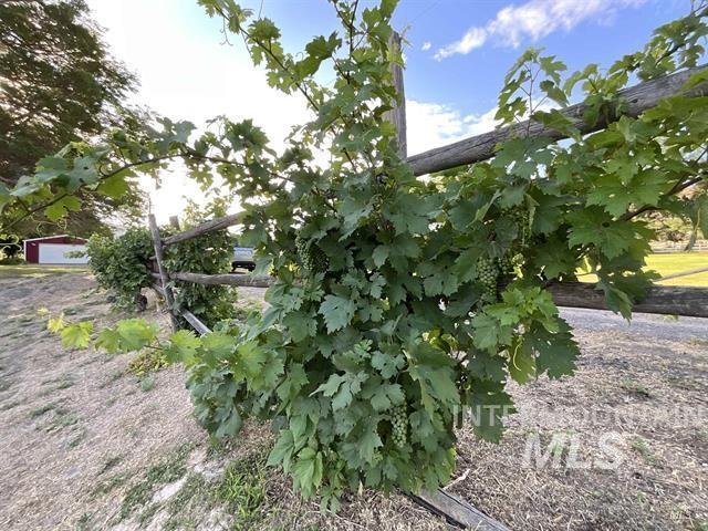 4778 River Road, Buhl, Idaho 83316, 2 Bedrooms, 1 Bathroom, Residential For Sale, Price $1,200,000,MLS 98988360