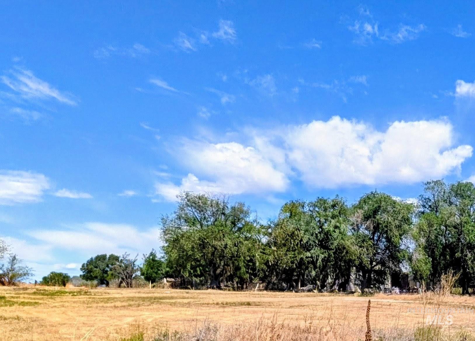 3110 E Hubbard Rd, Meridian, Idaho 83642, Land For Sale, Price $315,000,MLS 98988406
