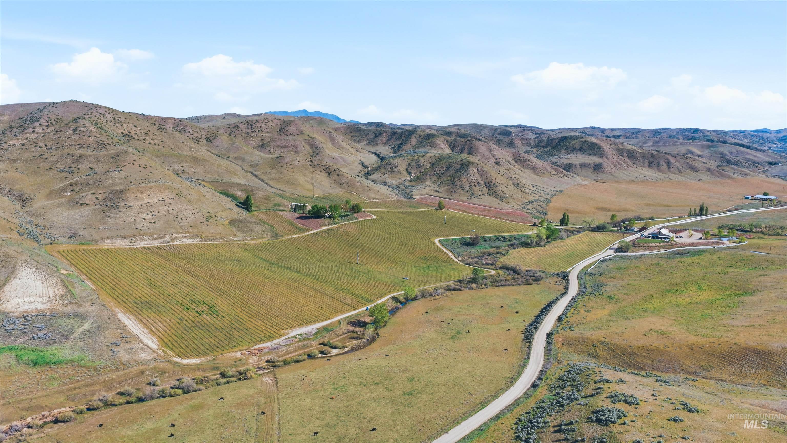 5900 Pearl Road, Eagle, Idaho 83616, Land For Sale, Price $29,500,000,MLS 98988529