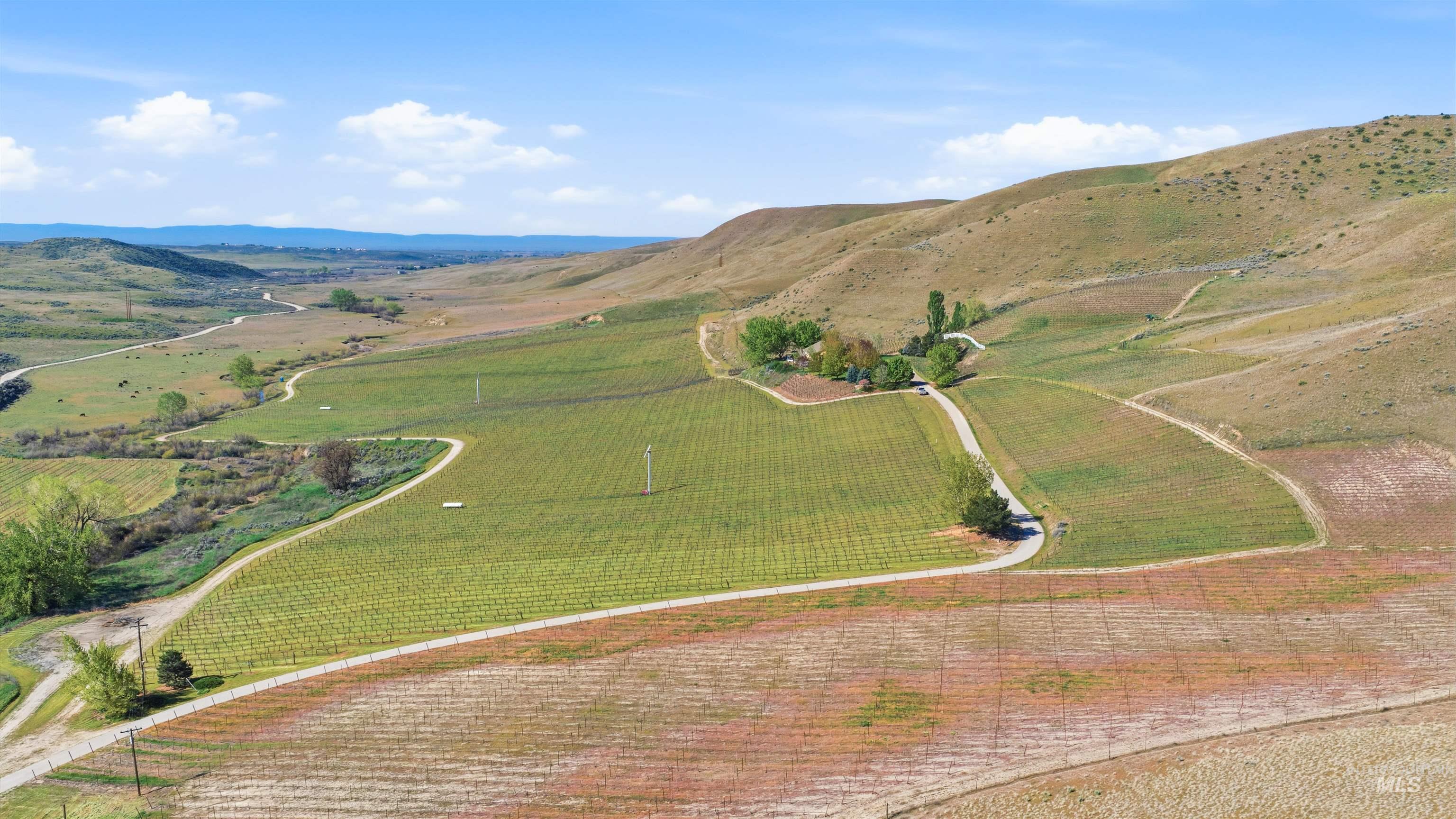 5900 Pearl Road, Eagle, Idaho 83616, Land For Sale, Price $29,500,000,MLS 98988529