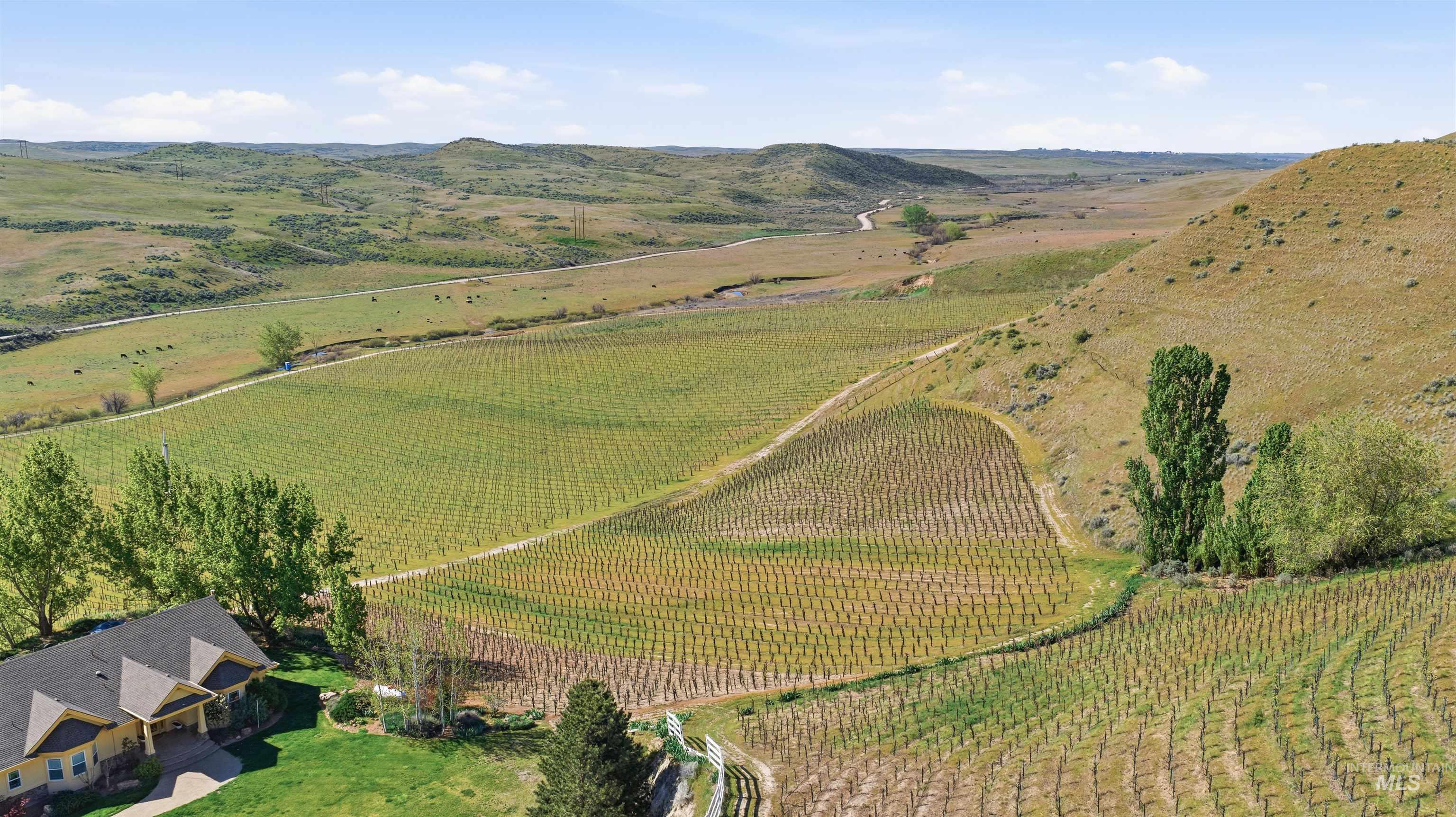 5900 Pearl Road, Eagle, Idaho 83616, Land For Sale, Price $29,500,000,MLS 98988529