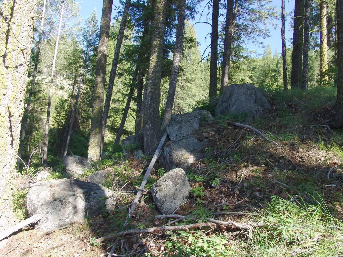 L1 B2 San Ignacio Way, Cascade, Idaho 83611, Land For Sale, Price $109,000,MLS 98988559