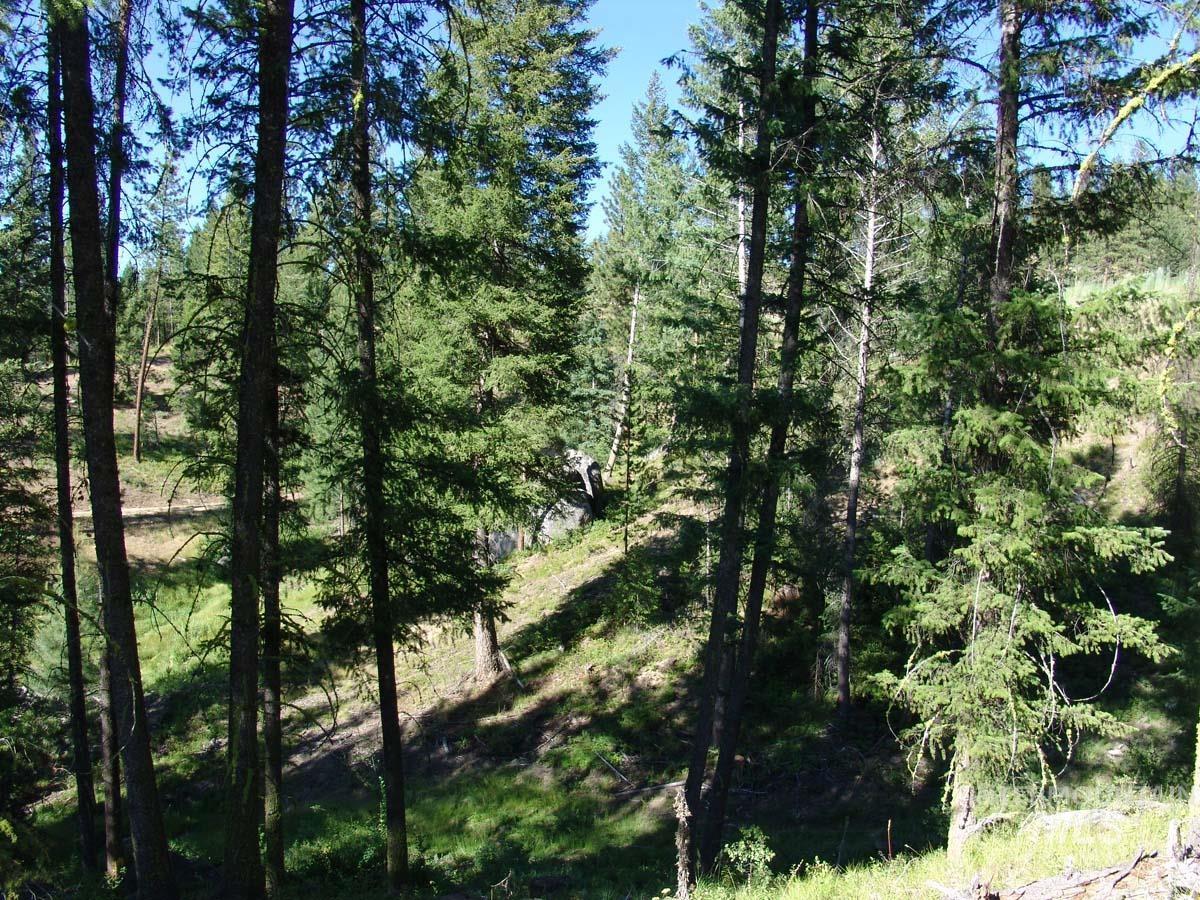 L1 B2 San Ignacio Way, Cascade, Idaho 83611, Land For Sale, Price $109,000,MLS 98988559