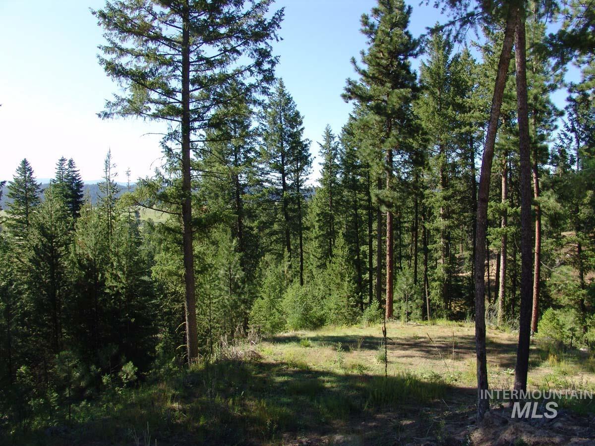 L1 B2 San Ignacio Way, Cascade, Idaho 83611, Land For Sale, Price $109,000,MLS 98988559