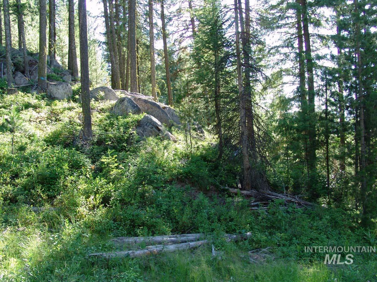 L1 B2 San Ignacio Way, Cascade, Idaho 83611, Land For Sale, Price $109,000,MLS 98988559