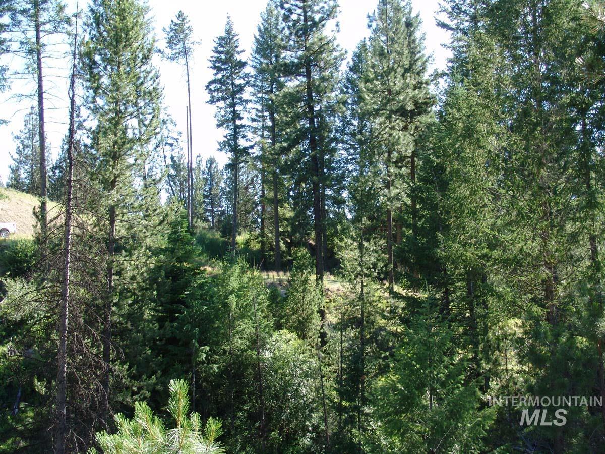 L1 B2 San Ignacio Way, Cascade, Idaho 83611, Land For Sale, Price $109,000,MLS 98988559