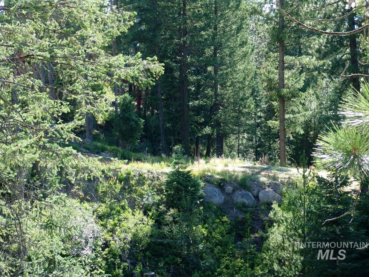 L1 B2 San Ignacio Way, Cascade, Idaho 83611, Land For Sale, Price $109,000,MLS 98988559