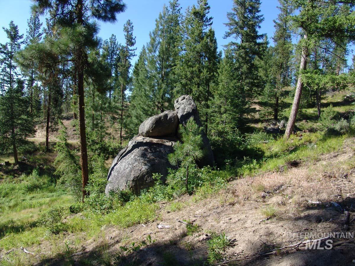 L1 B2 San Ignacio Way, Cascade, Idaho 83611, Land For Sale, Price $109,000,MLS 98988559
