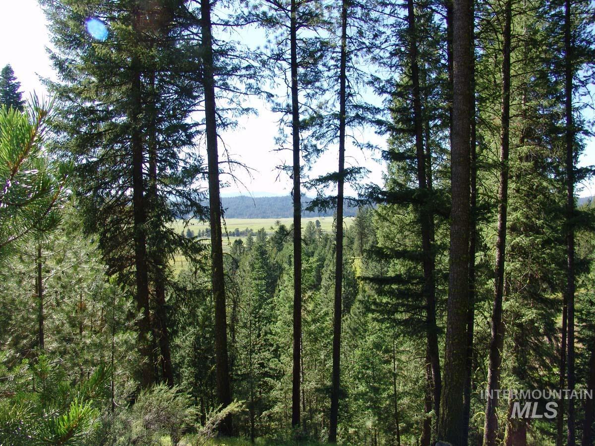 L1 B2 San Ignacio Way, Cascade, Idaho 83611, Land For Sale, Price $109,000,MLS 98988559