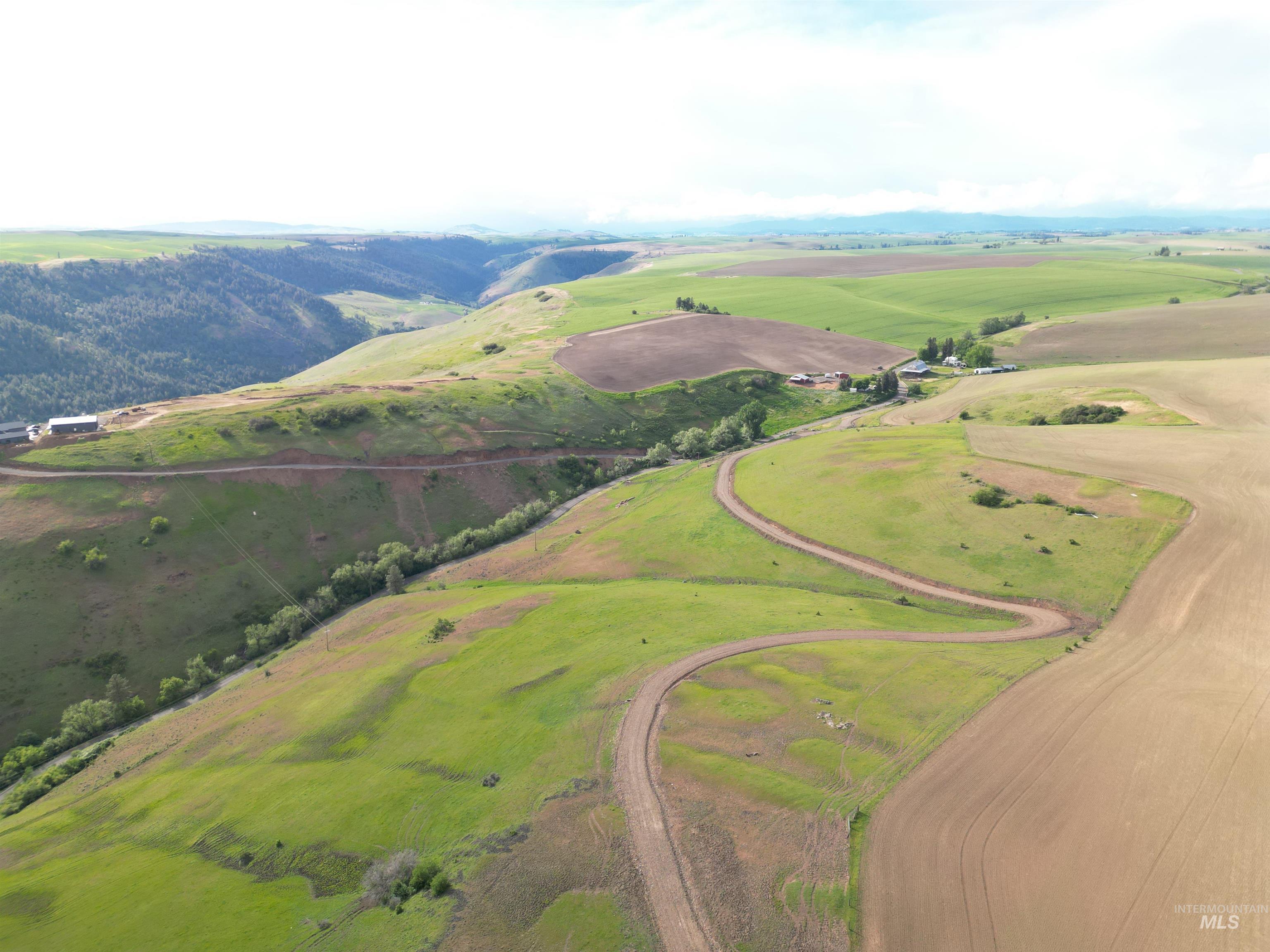 000 American Ridge Rd (Parcel 2), Kendrick, Idaho 83537, Land For Sale, Price $225,000,MLS 98988562