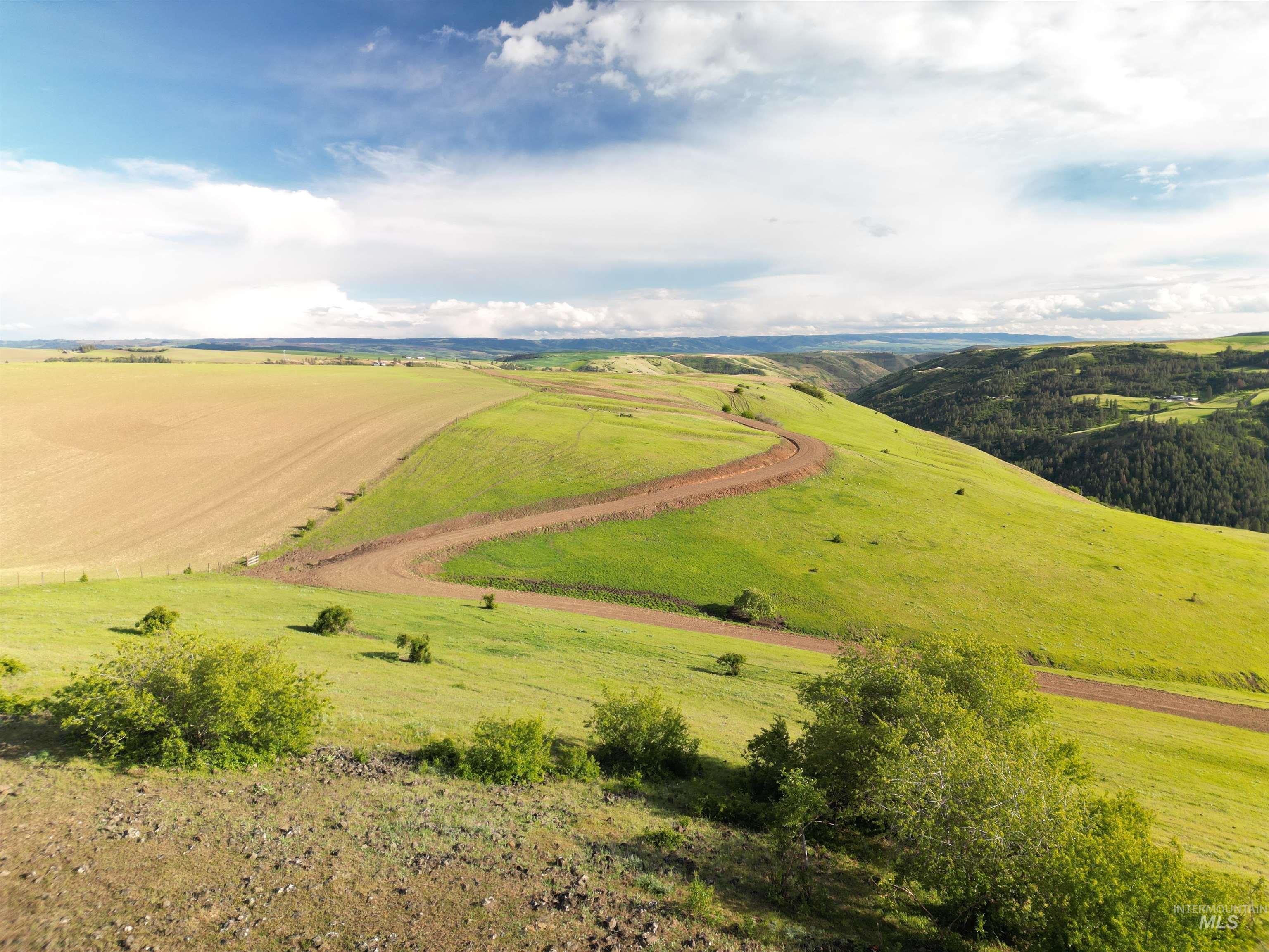 000 American Ridge Rd (Parcel 2), Kendrick, Idaho 83537, Land For Sale, Price $225,000,MLS 98988562