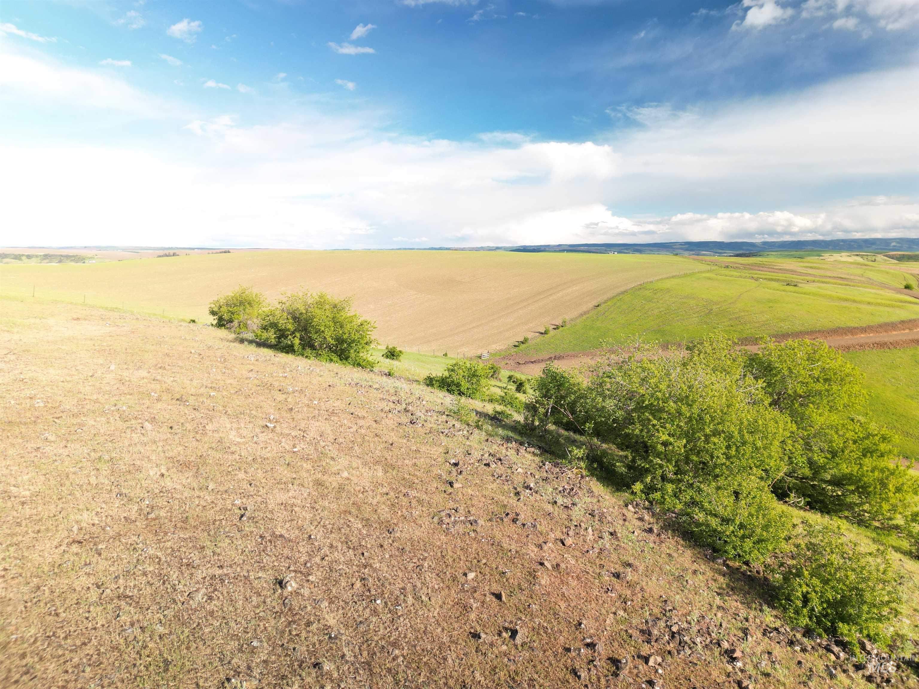 000 American Ridge Rd (Parcel 2), Kendrick, Idaho 83537, Land For Sale, Price $225,000,MLS 98988562