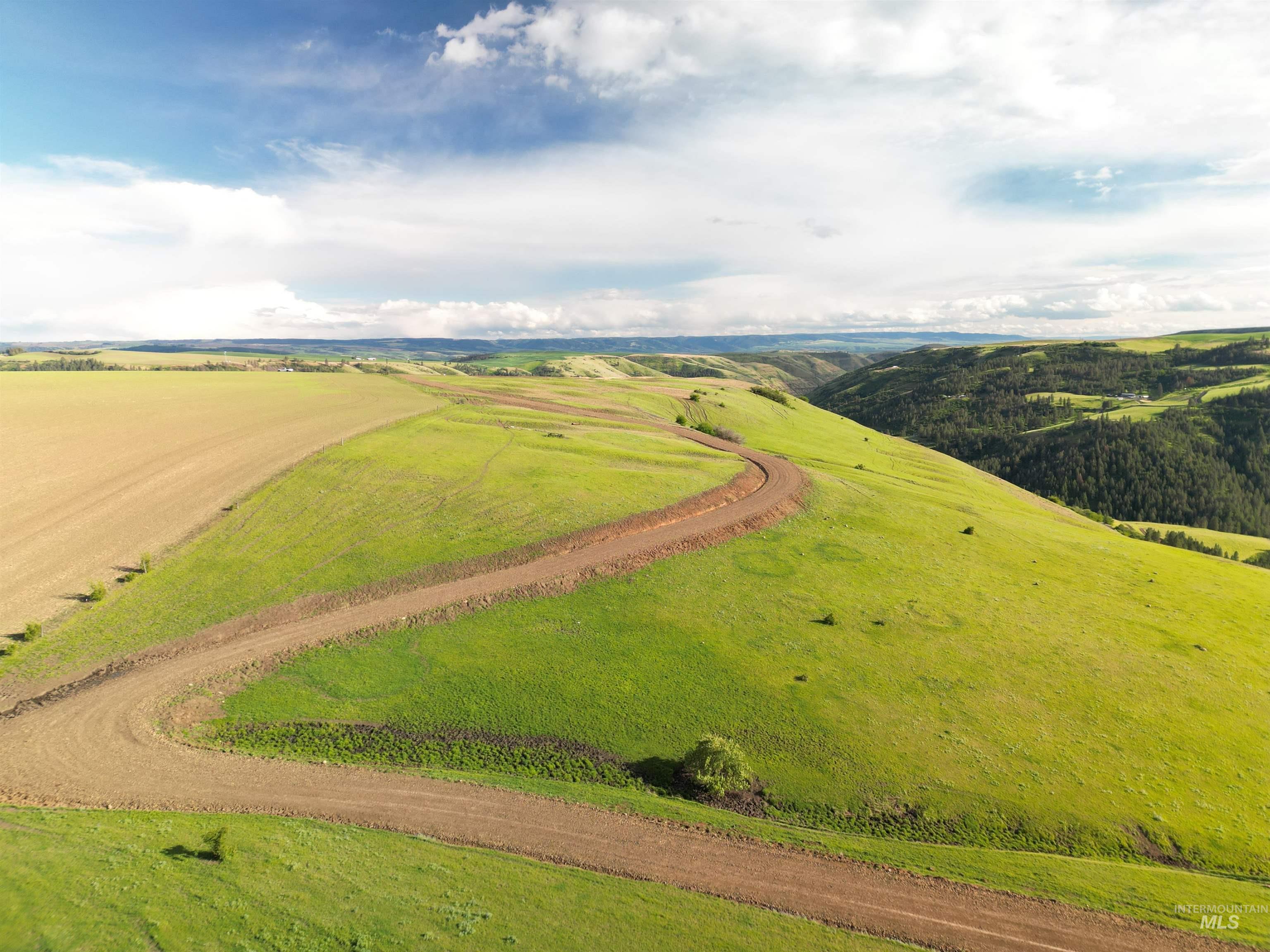 000 American Ridge Rd (Parcel 2), Kendrick, Idaho 83537, Land For Sale, Price $225,000,MLS 98988562
