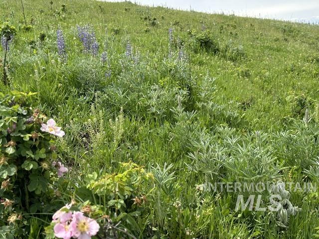 000 American Ridge Rd (Parcel 2), Kendrick, Idaho 83537, Land For Sale, Price $225,000,MLS 98988562